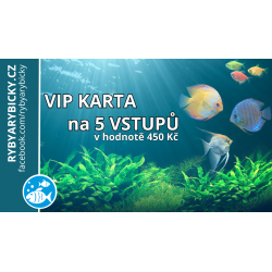 VIP card for 5 tickets