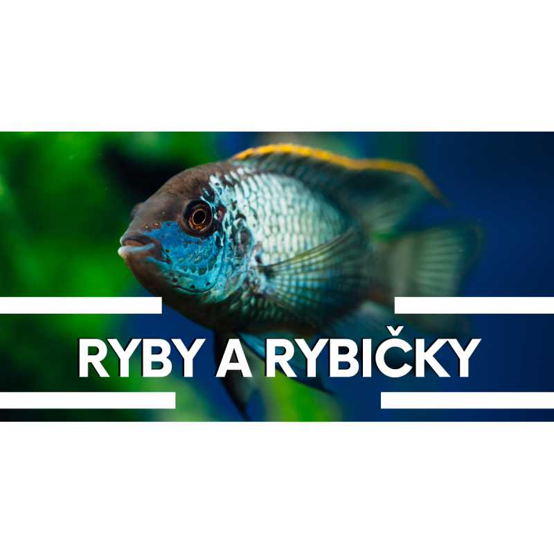 26.4.2026 Vstupenka na Ryby a rybičky